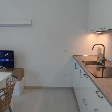 Apartment Domus Bassanello Paltana *